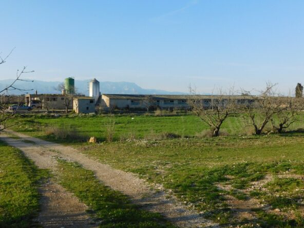 FINCA CON GRANJAS PORCINAS EN TERMINO DE GODALL