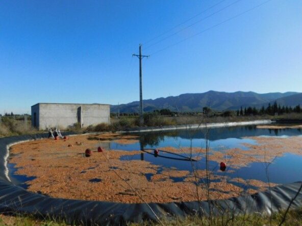 FINCA RUSTICA EN ULLDECONA