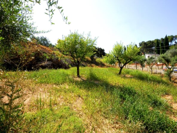 TERRENO URBANO EN CABRERA D'ANOIA