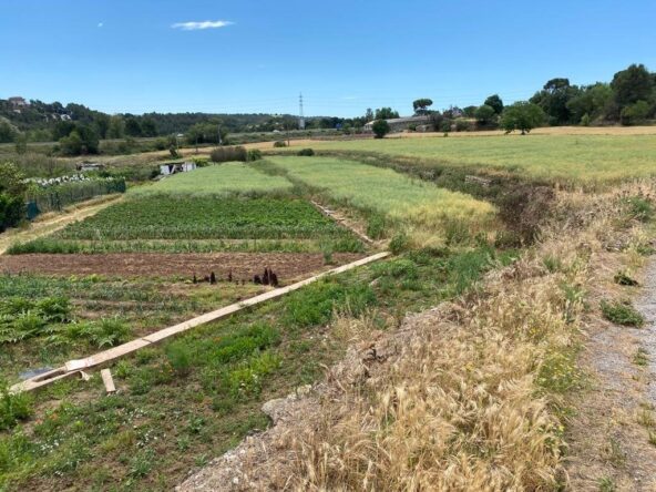 Terrenos en Sant Fruitós de Bages