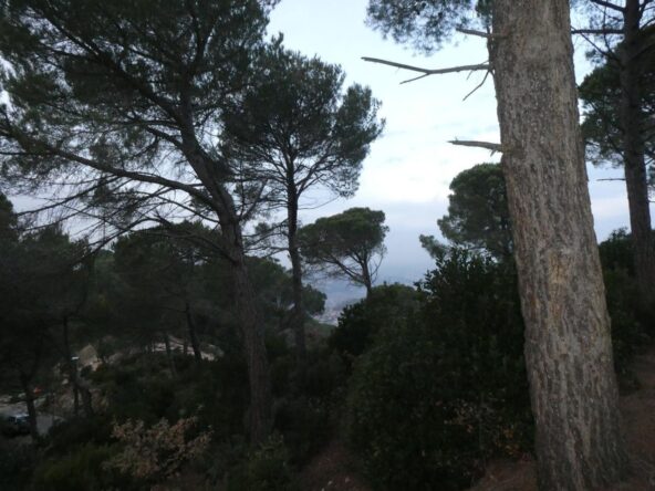 Terreno urbanizable en Ca l’Alegre