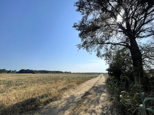 Finca rústica no edificable en Castelló d'Empúries