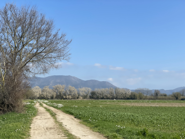 Finca rústica no edificable en Castelló d'Empúries