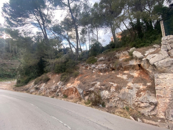TERRENO EN SANT FELIU DEL RACO.UN LIENZO EN BLANCO