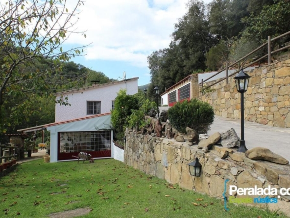 Conjunto dos masies en corazon Garrotxa