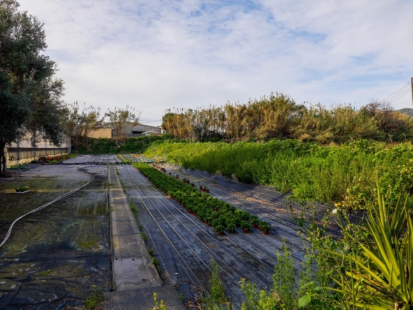 Amplio terreno rústico de 4.000 m² en Vilassar de Mar